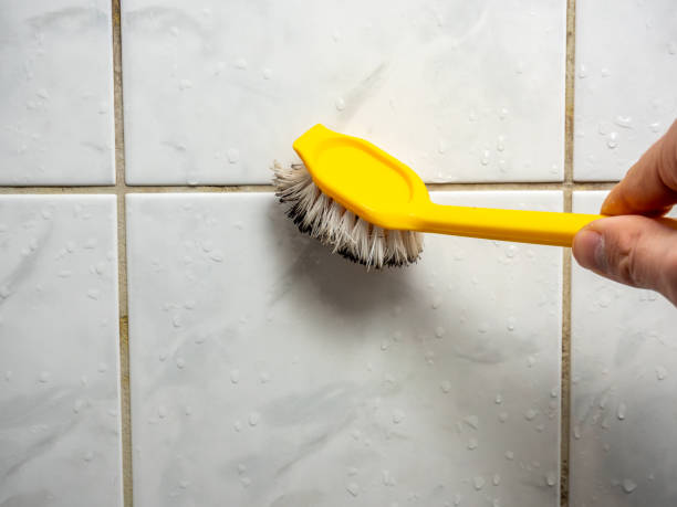 Best Residential Mold Remediation in Wylie, TX