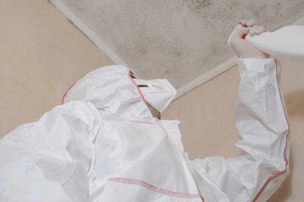 Best Mold Testing and Inspection Services in Wylie, TX