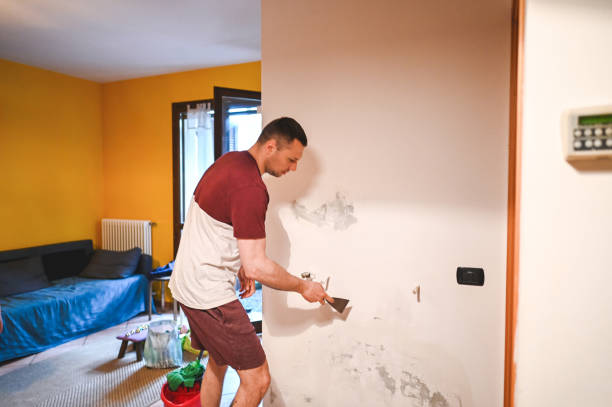 Best Commercial Mold Remediation in Wylie, TX